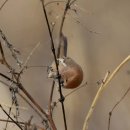 여주-1035 이미지