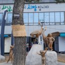 수정구보건소 이미지