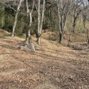 은혜의 뜨락 이미지