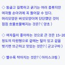 넌센스 Daum카페