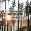 1136 | 사랑 명상 1136