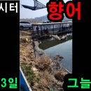 그늘막1 이미지