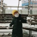 고대1105 이미지