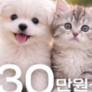 신우플러스원 이미지