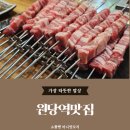 미니양꼬치 | 원당역맛집 양꼬치 쇼촬뗀 미니양꼬치 후기