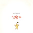심봤다민박 네이버블로그