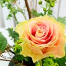 화훼장식 기능사(꽃꽂이) 이미지