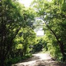 탑동 다기능회관 이미지