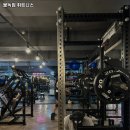 불독휘트니스 이미지