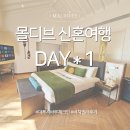 몰디브 신혼여행 DAY1 :: 마푸시바루 리조트 비치빌라(107호) 체크인 후기