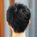 스타남성컷