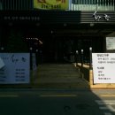 화랑돼지 이미지