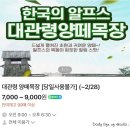 지민목장 | 강원도 평창 대관령 양떼목장 눈 오는 겨울 방문기 (먹이주기, 입장료, 주차)