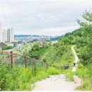 햇빛샤워