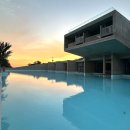 엘리스테이보령 이미지