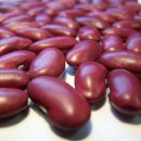 강낭콩의 효능 이미지