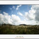 태흥목장 이미지