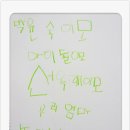 베베이모
