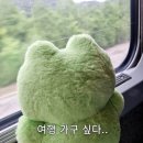 주식회사 마스짐 배방점 | 도쿄여행기 왔어요