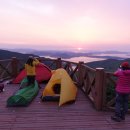 일출 난 농원 이미지