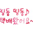 떡이지오 이미지
