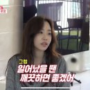 [고르기] 나는 박성광 스타일이다 vs 이솔이 스타일이다 이미지