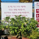 (유)옥천면옥 네이버블로그