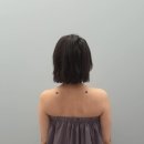 (주)팻라인 네이버블로그