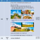 크루즈얼라이언스주