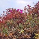 합자회사경남여객 | 합자회사의 설립과 운영 (사당역법무사, 동작구법무사, 관악구법무사, 서초구법무사)