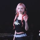 수이 카카오 검색결과