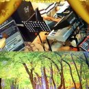 리메디컬 이미지