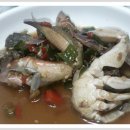 고흥맛집 이미지