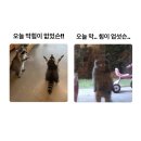 돈내코주유소 | 250804-250815. 우연히 갑자기 행복해지세요.