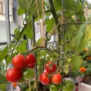 수정의집 이미지