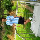 보광고등학교 이미지