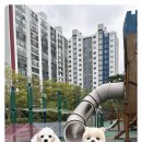 디엠보고 이미지