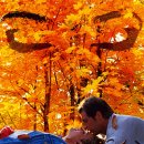 되지 생활건강 이미지