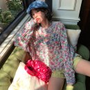 다이아소프트 이미지