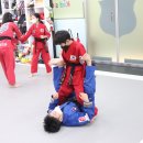 MVP합기도 이미지