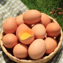 지리산농장 이미지