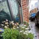 원고개 다락방 이미지