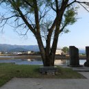 서천리 당산 이미지