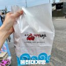 울진대게 | 경북 울진 대게빵 맛집 울진대게빵 내돈내산 후기