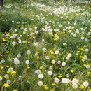 충재유물관 이미지