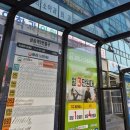 우아한피부과의원 네이버블로그