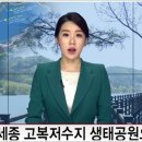 뮤즈호스텔 이미지