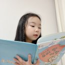 시끌벅쩍 신나는 그림책 읽기 | 설날에 읽기 좋은 사회그림책, 그레이트북수 내친구 사회공룡 3권 후기