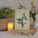 빌리지엠2 이미지