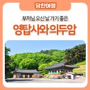 의두암 이미지